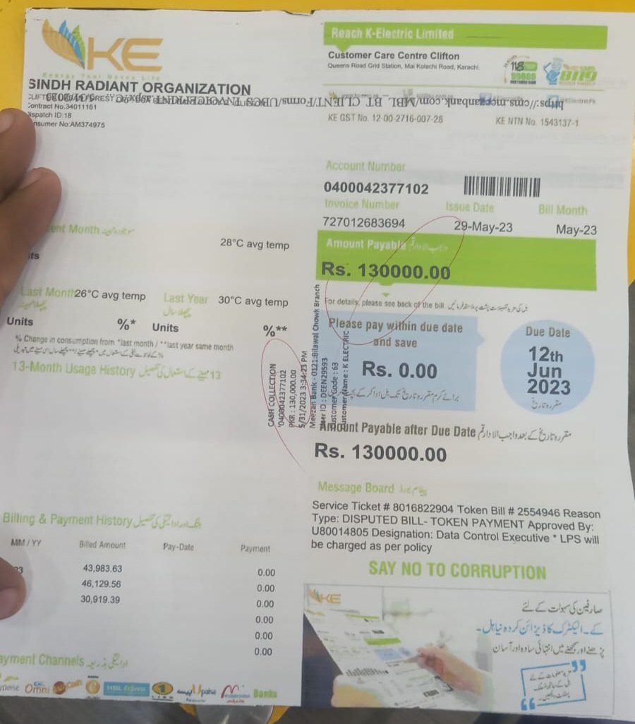 Despite paying bill @KElectricPk refuses to restore power demanding written apology from me. During 12 days of disconnection over 300 trees died. @urban_clifton doesn't deserve this. @murtazawahab1 @MuradAliShahPPP @MIsmailRahoo @sherryrehman @BBhuttoZardari @afiasalam @zofeen28