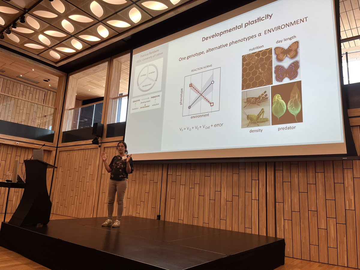 AafkeOldnbvng's tweet photo. Back in Leiden as distinguished zoologist! Enjoying the talk of @pbeldade at @KNDV1872 Zoology 2023 at @Naturalis_Sci on developmental phenotypic plasticity. https://t.co/fcRs7EyQUa