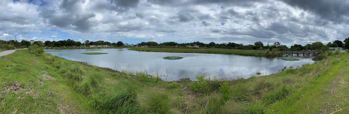 It's #WetlandWednesday - our favorite day of the week! #Stormwater #ponds like this one are perfect for treatment #wetlands to mitigate nutrient #pollution. 

Contact us today!

#Beemats #waterquality #eutrophication #NPDES #BMPs #nitrogen #phosphorus #sustainability #water