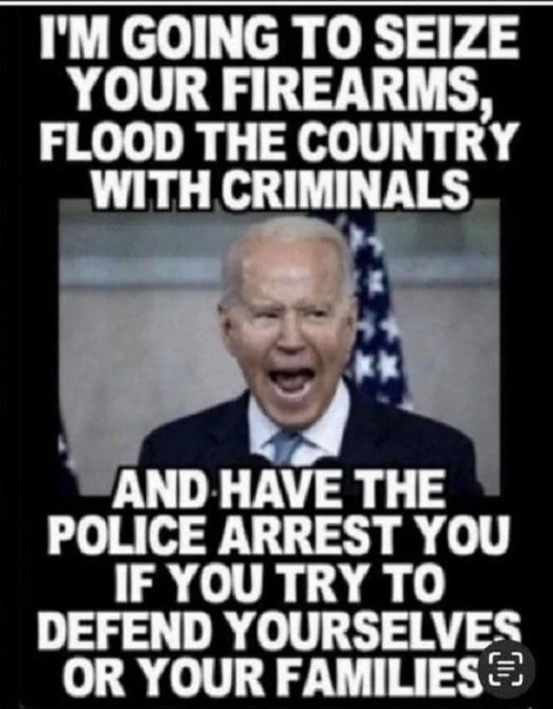 RickyDoggin's tweet photo. The Democrats Plan For America https://t.co/JZtrHYcqpO