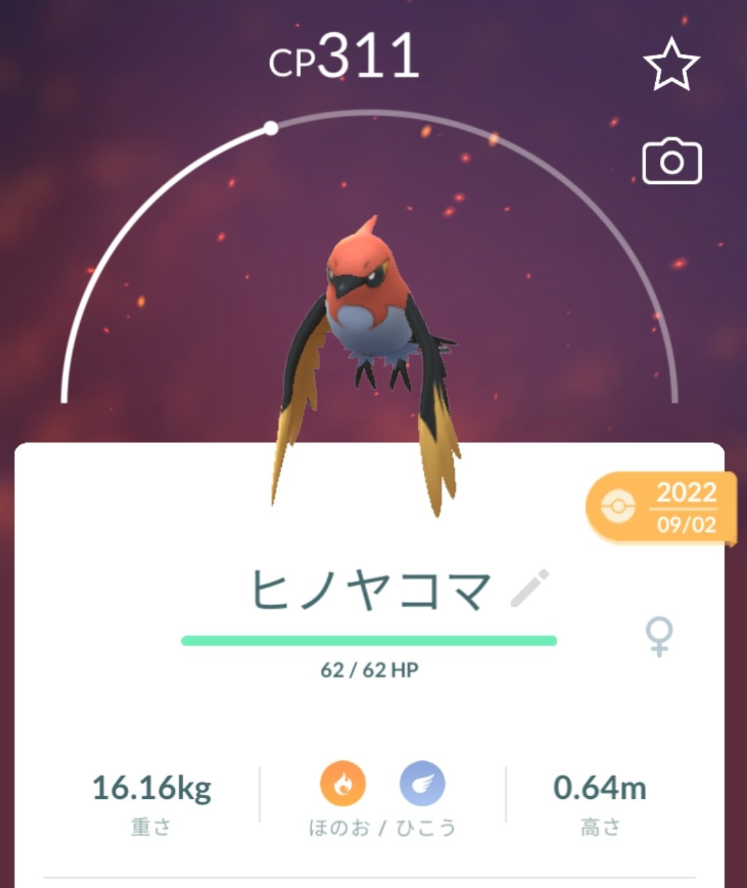 ミドリカワセミ on X: 
