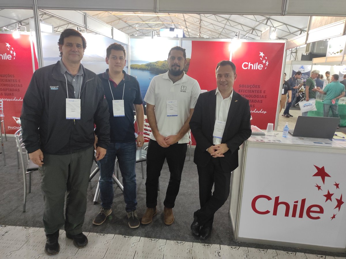 ProChile Brasil tweet media