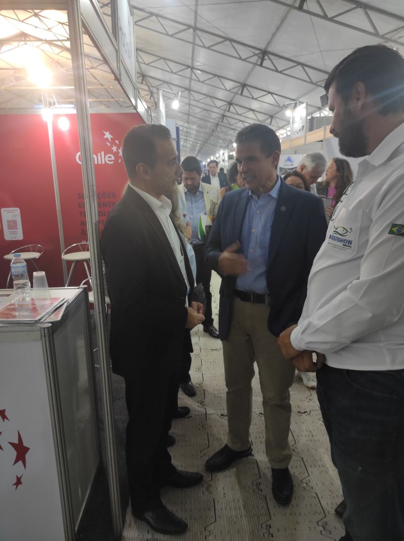 ProChile Brasil tweet media