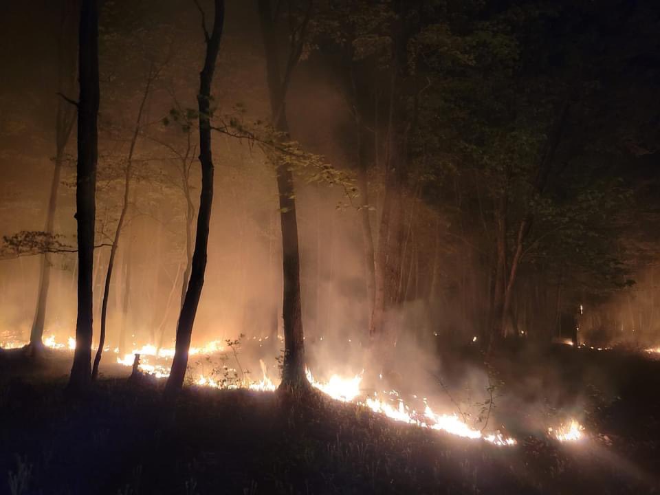 JctGirl1's tweet photo. Thinking of NS. This was my Sunday night behind my house when a fire started on Prides Landing, F Jct NB. Everything is good now - it is ‘contained’. Shout out to my 77 year old Father who worked all night to keep it from spreading towards the house and camp - He’s a Legend https://t.co/vphfYkRtP8