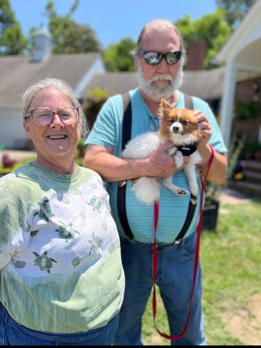DannyRonsRescue's tweet photo. ⭐️ ADOPTED! ⭐️  Magnificent little MISSY found her forever home with Carol and Larry!  This little girl has been through lots of dental work during her 2 months at The Doghouse, but she's ready for a new life now! 
A #perfectmatch from Danny &amp; Ron's Rescue.
#AlifetimePromise https://t.co/zA1RDnMxKT