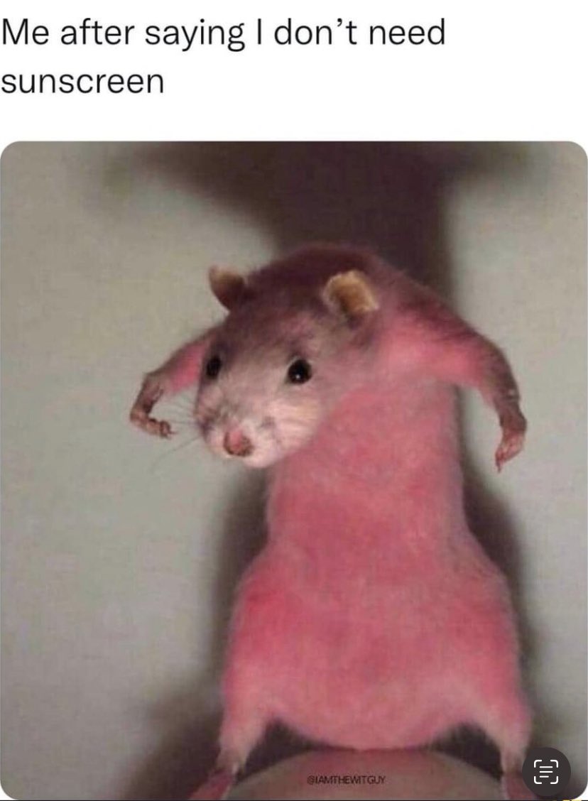 Aleksandra. tweet media