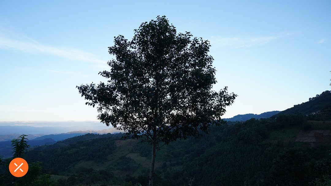 Border of Dreams Movie tweet media