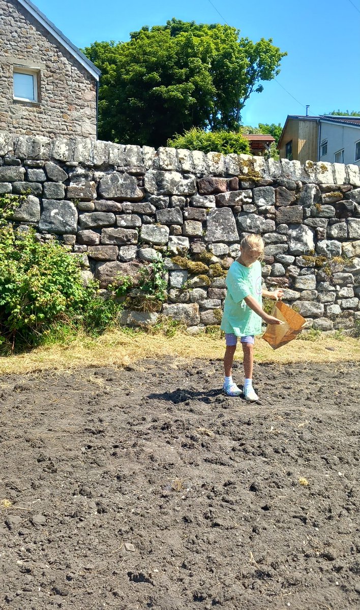 ju_richmond's tweet photo. @TrumacarPrimary Eva has been volunteering in her local community to help create a new wild flower meadow by Hesham Village car park #wildflowers #community #wildlife https://t.co/4JuwpxBh6X