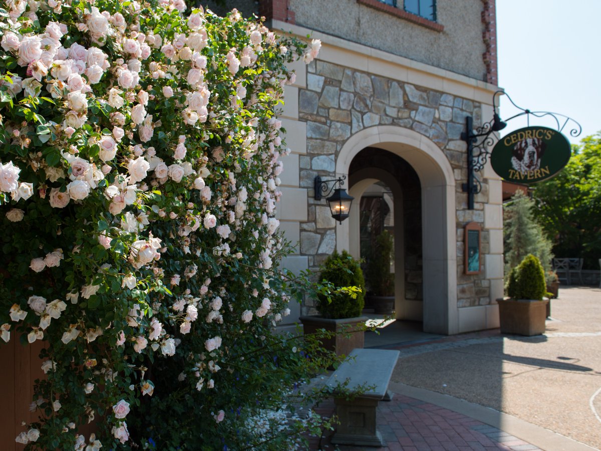 Blooms can be seen all across the estate–as seen here outside of Cedric's in Antler Hill Village!

With a stay at the Village Hotel, guests are only steps away from dining, shops, live music, and out award-winning Winery. Learn more: bit.ly/3MvgH3I