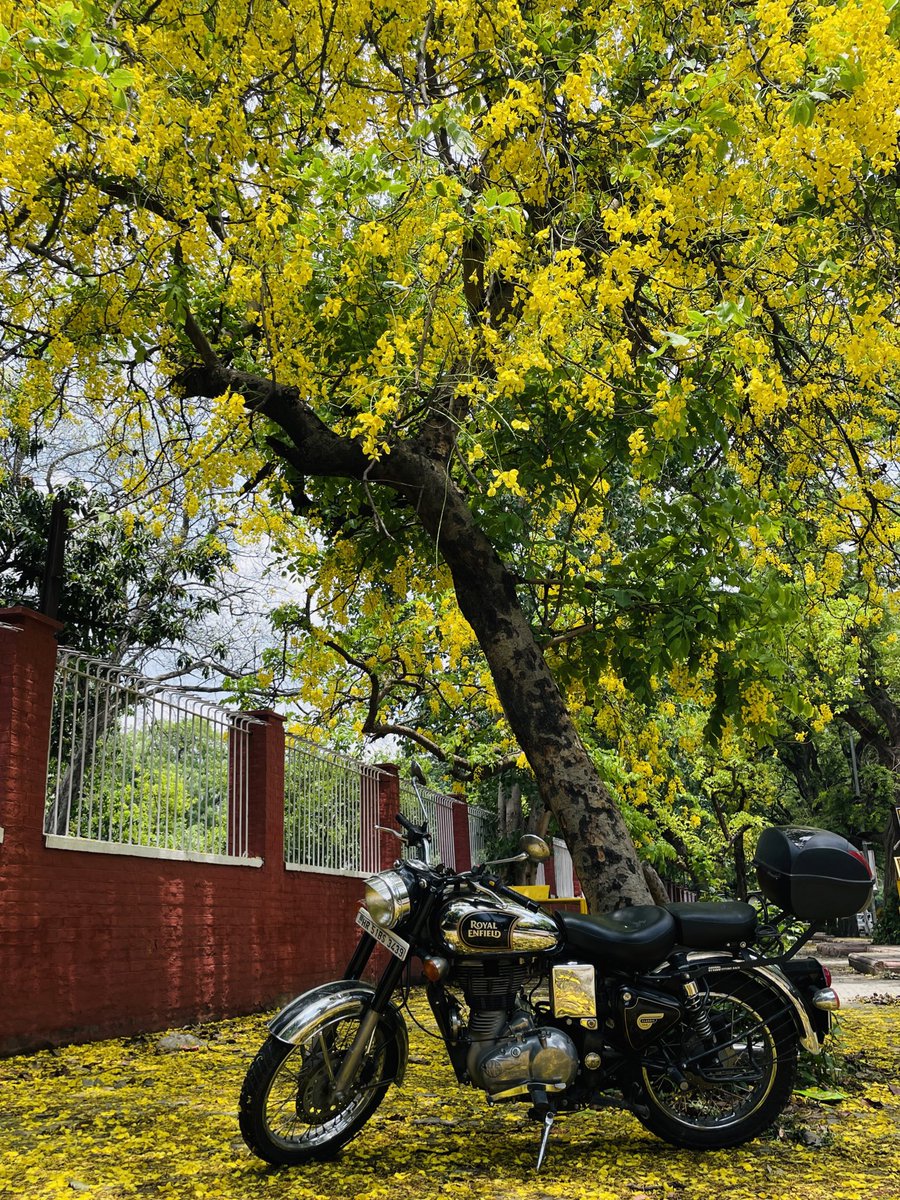 💛 - <a href="/royalenfield/">Royal Enfield</a>