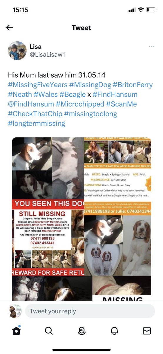 @VetsGetScanning @SAMPAuk_ @PetTheftUK @DogTheftCrisis @BritishVets @theRCVS @DefraGovUK @theresecoffey @PennyMordaunt @millypod1 @MissingPetsGB COPIED ⬇️
“💔💔💔 9 years ago today Hansum went missing Microchipped Was he scanned???”
@LisaLisaw1 
Just saying #FernsLaw