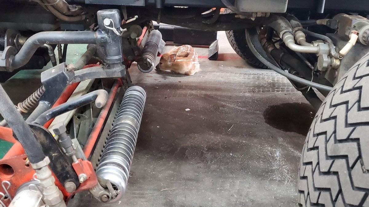 robert lehman tweet media