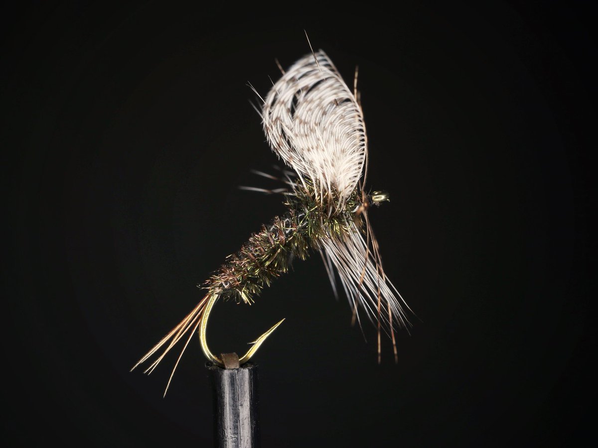nyocoP's tweet photo. Peacock dry
Non-imitation.
ボディの練習のため
なんかちょっと気持ち悪いね😅あまり美味しくなさそう😂
#flytying #flyfishing #kebari #フライタイイング #フライフィッシング #毛鉤 https://t.co/Y8lVjYekSs