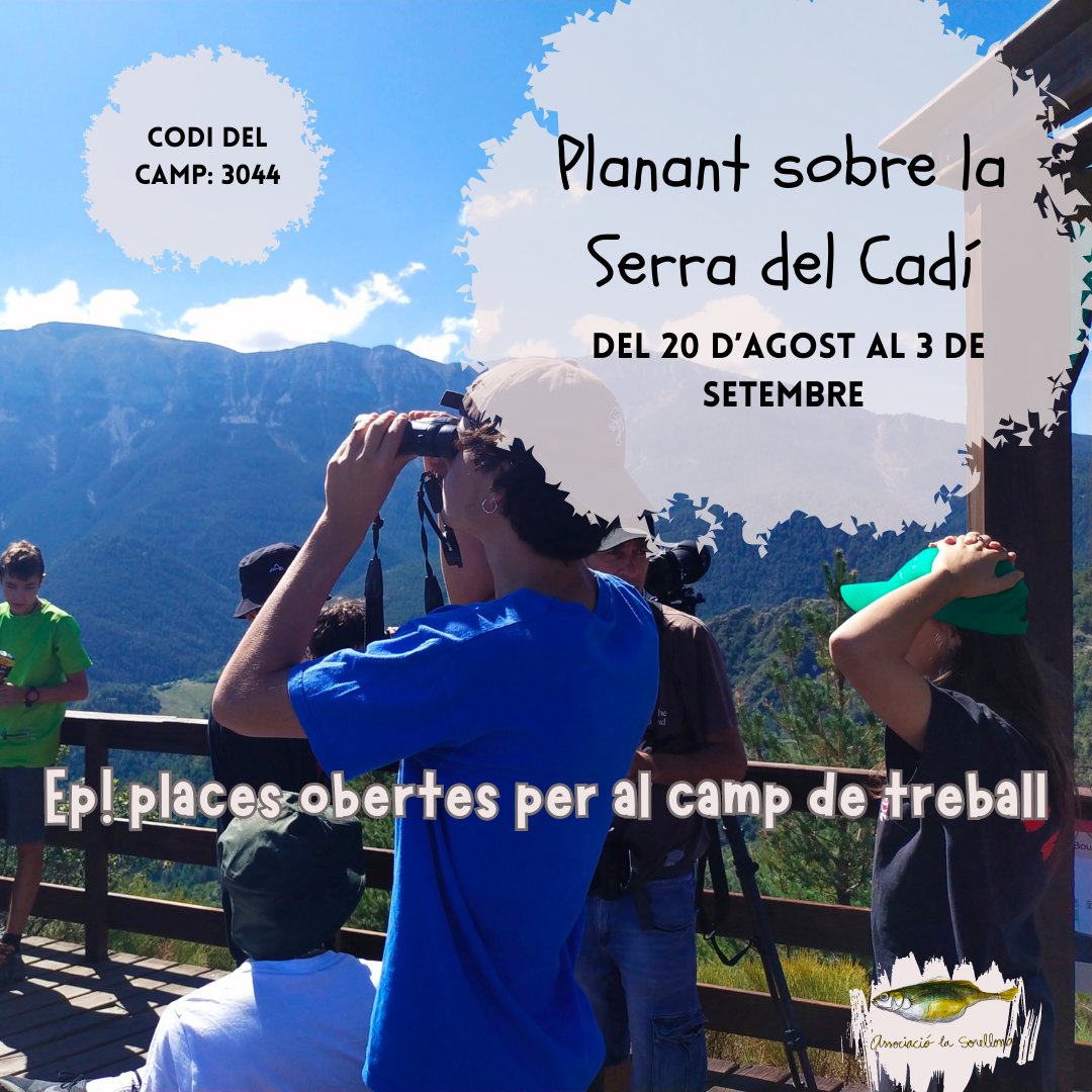 Un any més fem els camps de treballs per a joves de 14 a 17 anys! del 20 d'agost al 3 de setembre🏔️ Tindràs l’oportunitat de viure durant 15 dies en un entorn privilegiat al bell mig del @PNCadiMoixero 🍂🍃🌿🐸🦅 per a més informació: jovecat.gencat.cat/web/.content/_…