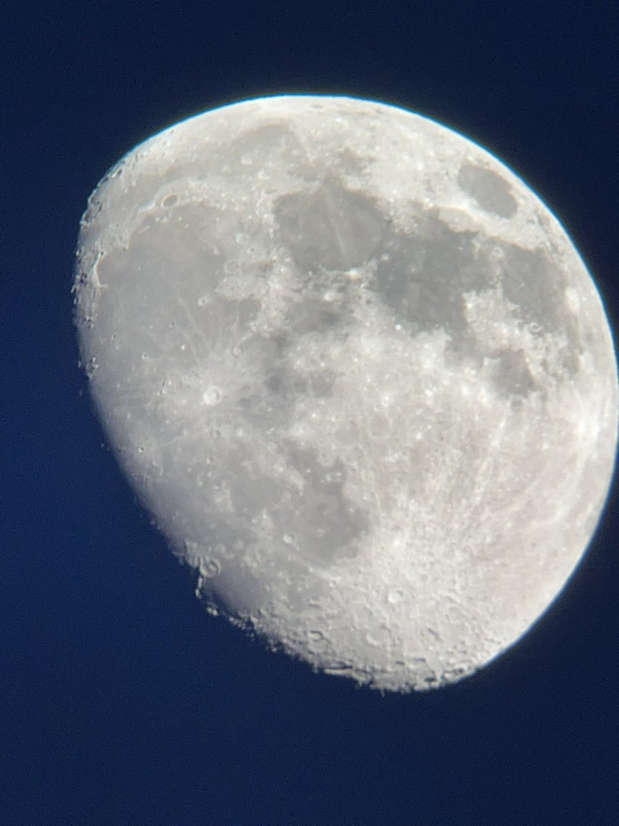 7sciMcCall's tweet photo. I am having a fabulous time learning @wku and the #NationalSTEMScholars program generously funded through the @NationalSCF - telescopes, microscopes, solar eclipse prep, and classroom project proposals (up to $2000) - it is a teacher’s dream! https://t.co/pEbKsFRgMG
