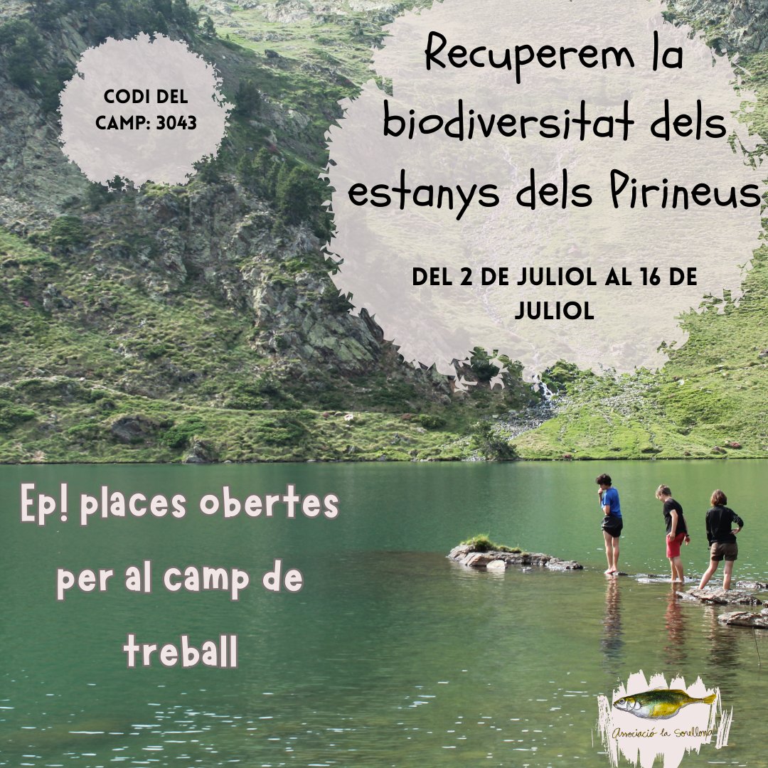 Un any més fem els camps de treballs per a joves de 14 a 17 anys! del 2 al 16 de juliol🏔️ Tindràs l’oportunitat de viure durant 15 dies en un entorn privilegiat al bell mig del @pnaltpirineu 🍂🍃🌿🐸🦅 per a més informació: jovecat.gencat.cat/web/.content/_…