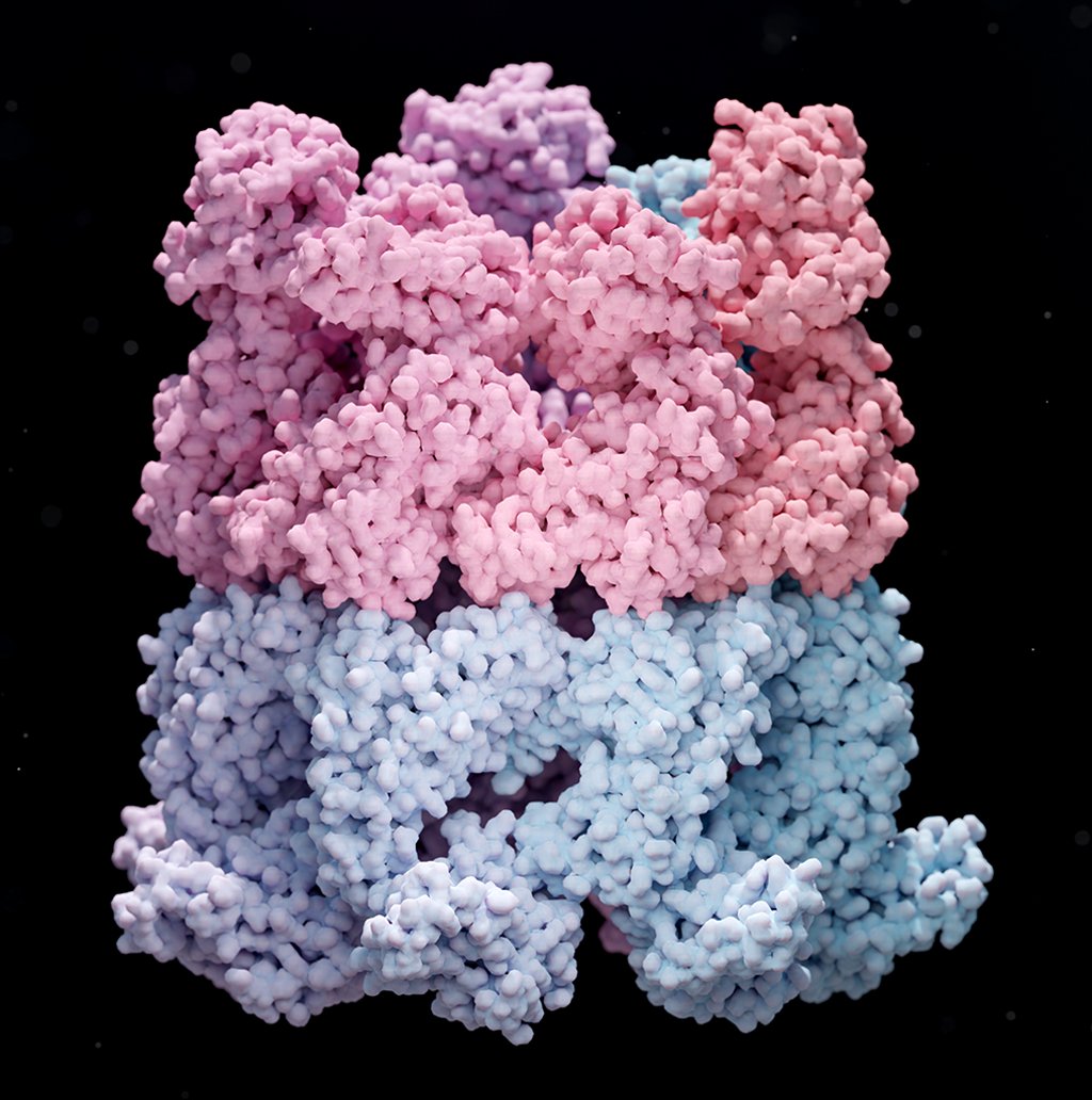 scott_d_gardner's tweet photo. Pleased to share a new preprint resulting from my PhD work using #cryoEM on #GroEL, completed in Helen Saibil's lab at @BirkbeckScience😄https://t.co/ovkMio1UG1 #cryoEM 1/5 https://t.co/5HNgLbe3mT