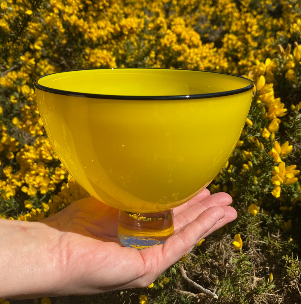 gilliesjones's tweet photo. Gorse flower yellow.... it's a stunning year for blossom and wild flowers in the North York Moors.

#yellowflowers
#yellow
#yellowglass https://t.co/e5FxZfZsGA