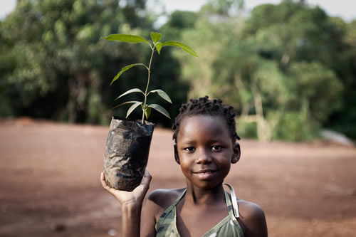 aBi_Finance's tweet photo. Inclusion and gender equality are paramount in development initiatives. By addressing biases and providing equal opportunities, we can empower women farmers and ensure their meaningful participation in the agricultural value chain. #GenderEquality #InclusiveDevelopment https://t.co/xruafziUfy