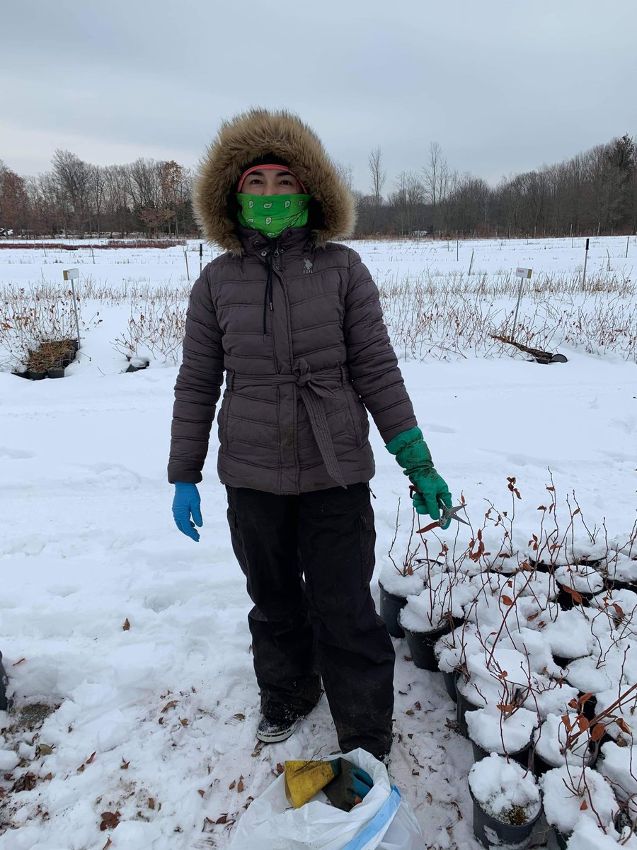ufwfoundation's tweet photo. At today’s Senate Judiciary Committee Hearing on #FarmWorkerLegalization is Elia, a Michigan farm worker who has worked in agriculture for 23 years. She works in blueberries, apple, peach, and lately, Christmas trees. She does this all in extreme cold and hot temperatures. https://t.co/36qaD9JXZN