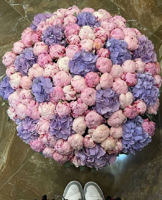 1Qafal's tweet photo. Colorful peonies 💜 https://t.co/tLawUd6Nfb