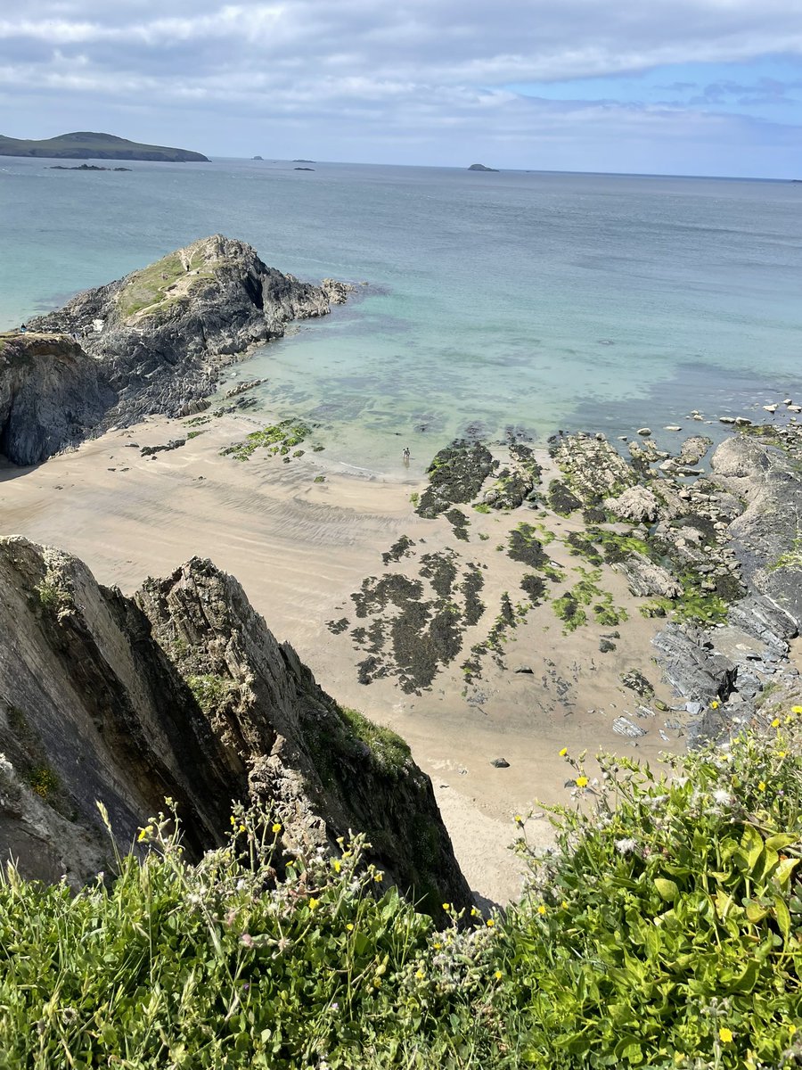Dyson1Jen's tweet photo. Lovely few days spent camping in the gorgeous St David’s @visitwales https://t.co/Hy89qslSLU