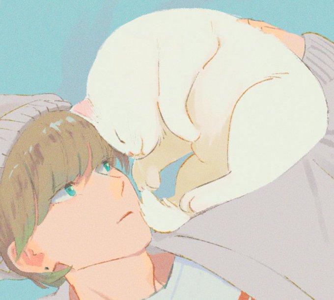 「寝そべり 白い猫」のTwitter画像/イラスト(新着)｜3ページ目