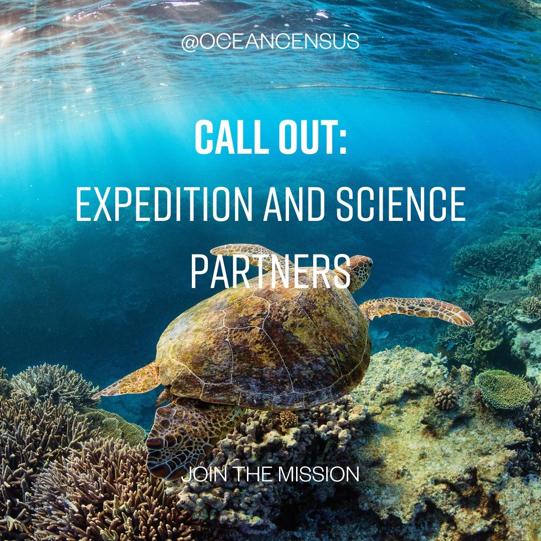 Register your interest.

Ocean Census has launched a call-out for Expedition and Science Partners.

There are many ways that individuals and organisations can get involved.

Take a look and speak to us today:
lnkd.in/e57H_3Eh

#Expeditions #ScienceResearch #OceanScience