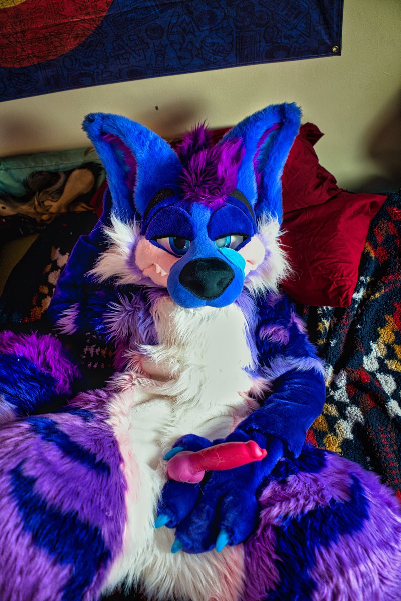 🔞 🐾 Stimky Purple Yeen 🔜 FWA tweet media