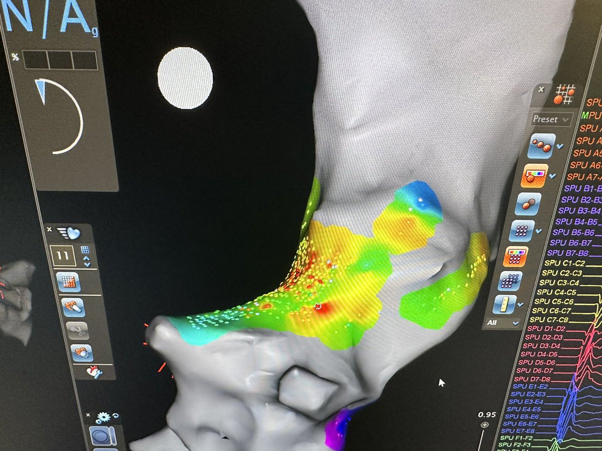 Darius Sholevar tweet media