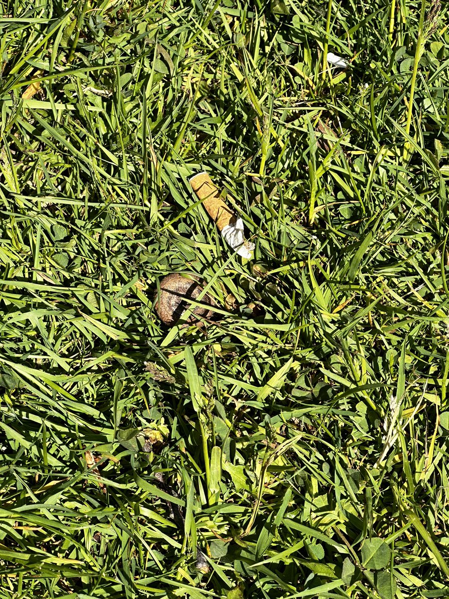 Folks. Smarten up. I took this photo this morning in Dartmouth. A fresh cigarette butt. 

<a href="/HRMFireNews/">Halifax Fire News</a>