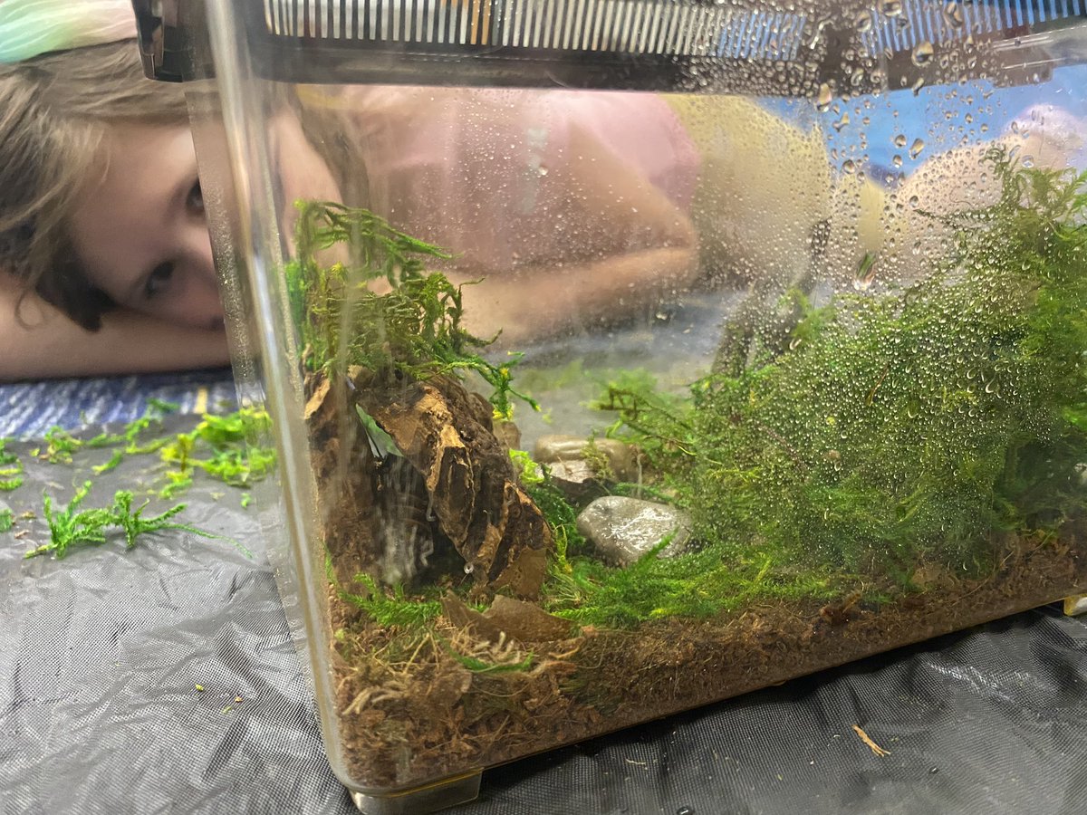 Mrs.Finocchiaro tweet media