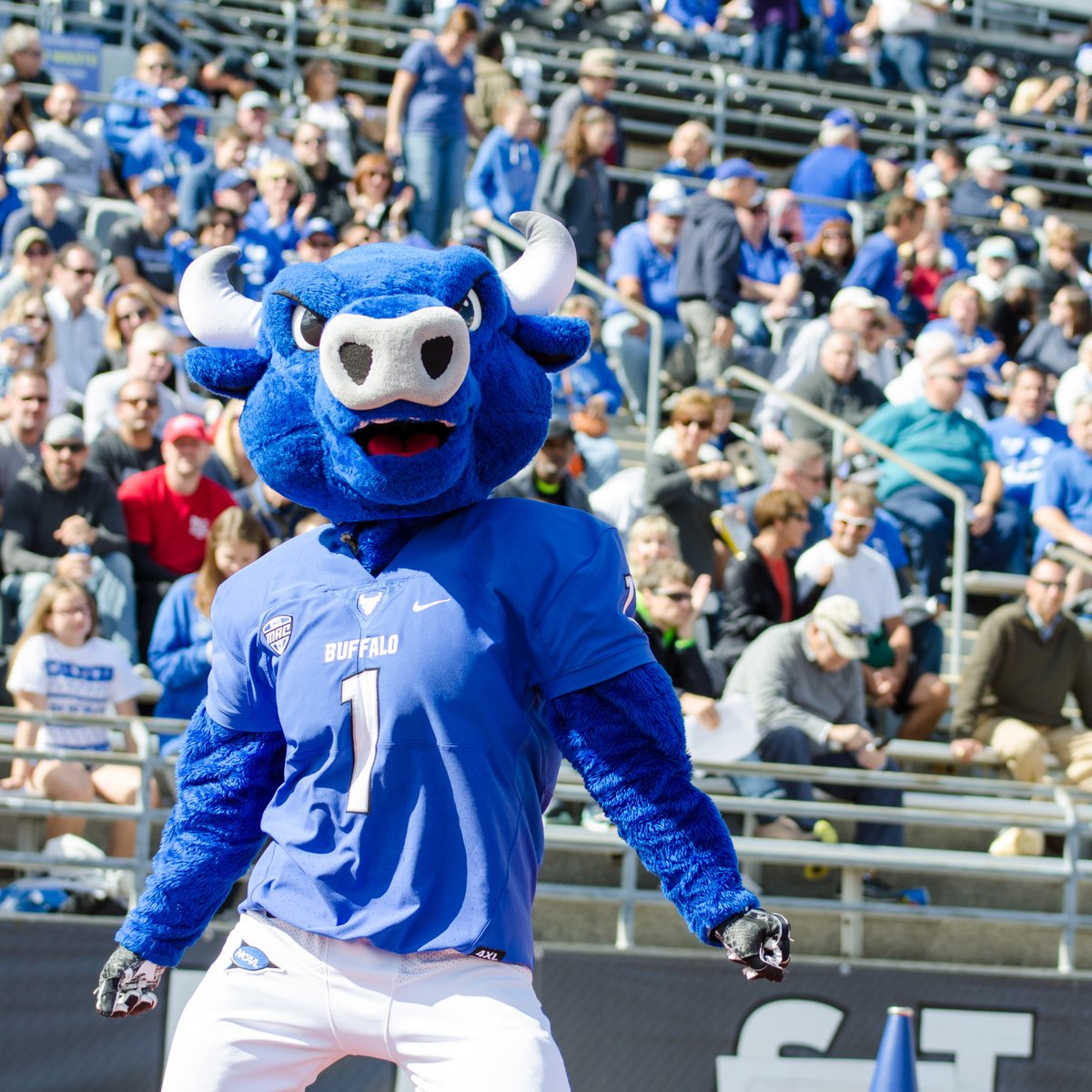 UB Football (@ubfootball) on Twitter photo Excited to have <a href="/AlleghenyFB/">Allegheny Football</a> & <a href="/SjfFootball/">Fisher Football</a> coaching and evaluating at our Mega Camp!🤘
We will be announcing a new registrant every day through June 11th!
Open to: High School, Post Grad, JUCO & College Transfers (Portal)
💻 Register today: ubfootballcamps.com Excited to have <a href="/AlleghenyFB/">Allegheny Football</a> & <a href="/SjfFootball/">Fisher Football</a> coaching and evaluating at our Mega Camp!🤘
We will be announcing a new registrant every day through June 11th!
Open to: High School, Post Grad, JUCO & College Transfers (Portal)
💻 Register today: ubfootballcamps.com