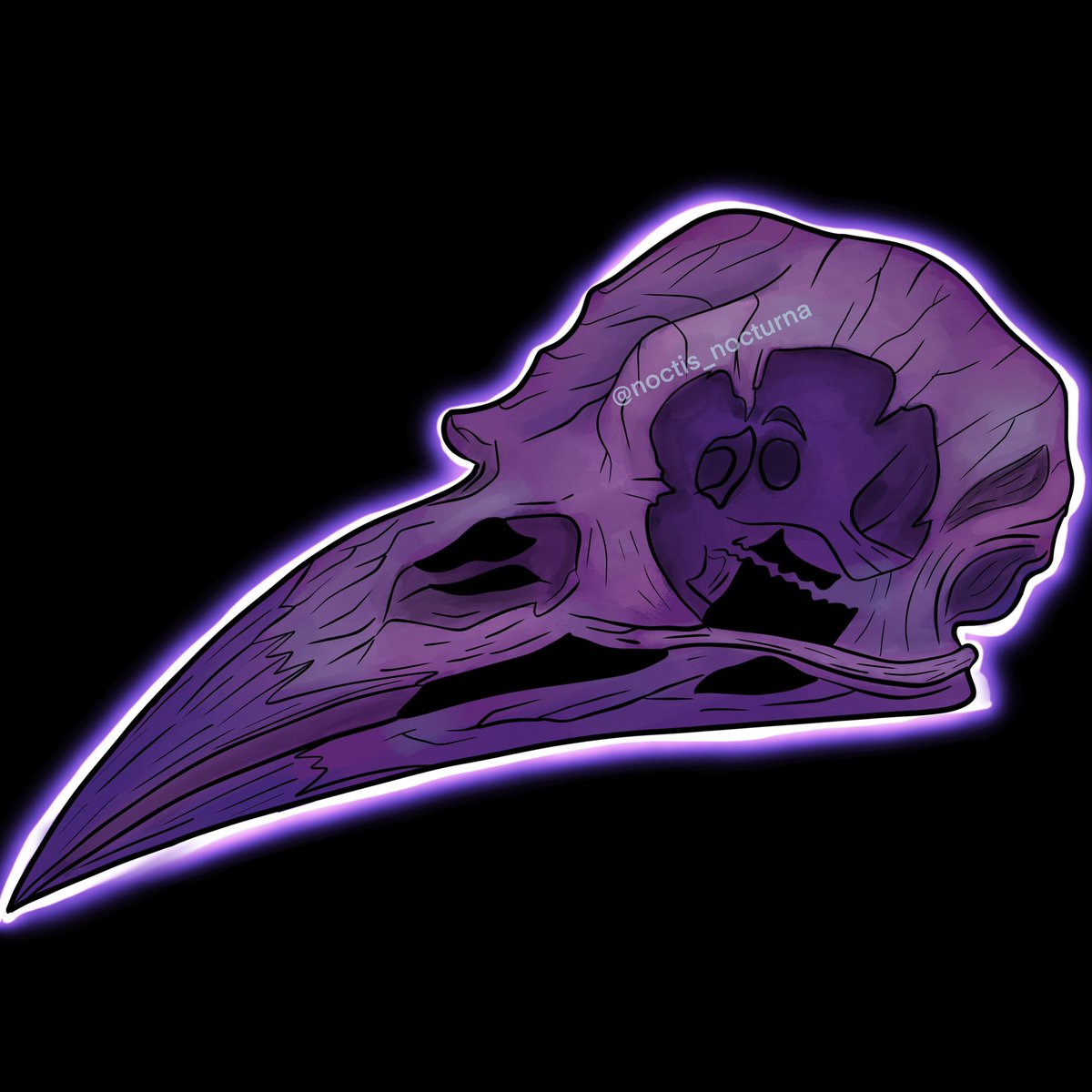 #crow #skull #crowskull #witch #witchart #gothart