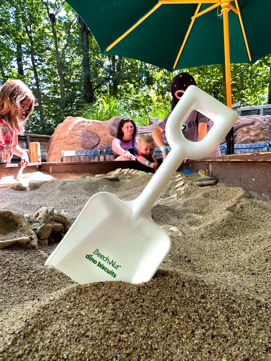 Tomorrow is #NationalDinoDay!

<a href="/BeechnutFoods/">Beech-Nut</a> are giving away some of their new Dino Biscuits in Schnuck Family Plaza on June 1 and 2. Stop by to try a sample! Don’t forget to visit Emerson Dinoroarus where guests can help search for dinosaur bones with a Beech-Nut play shovel.