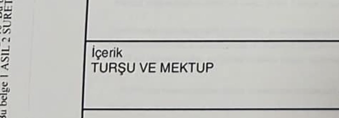 Turkiye’ye kimchi yolladim