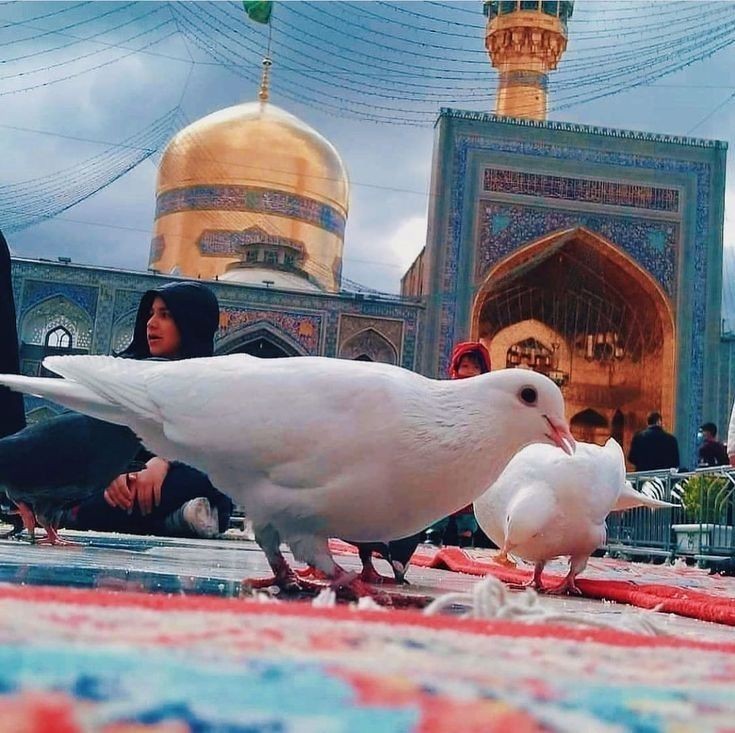 عليكَ اللّيلةَ أوكلتُ أمري
وأنتَ الضّمانُ لأحوالِ عمري
أنيس النّفوس وسلطانَ فقري
تصدّقُ فهاكَ الفؤاد رقيقا