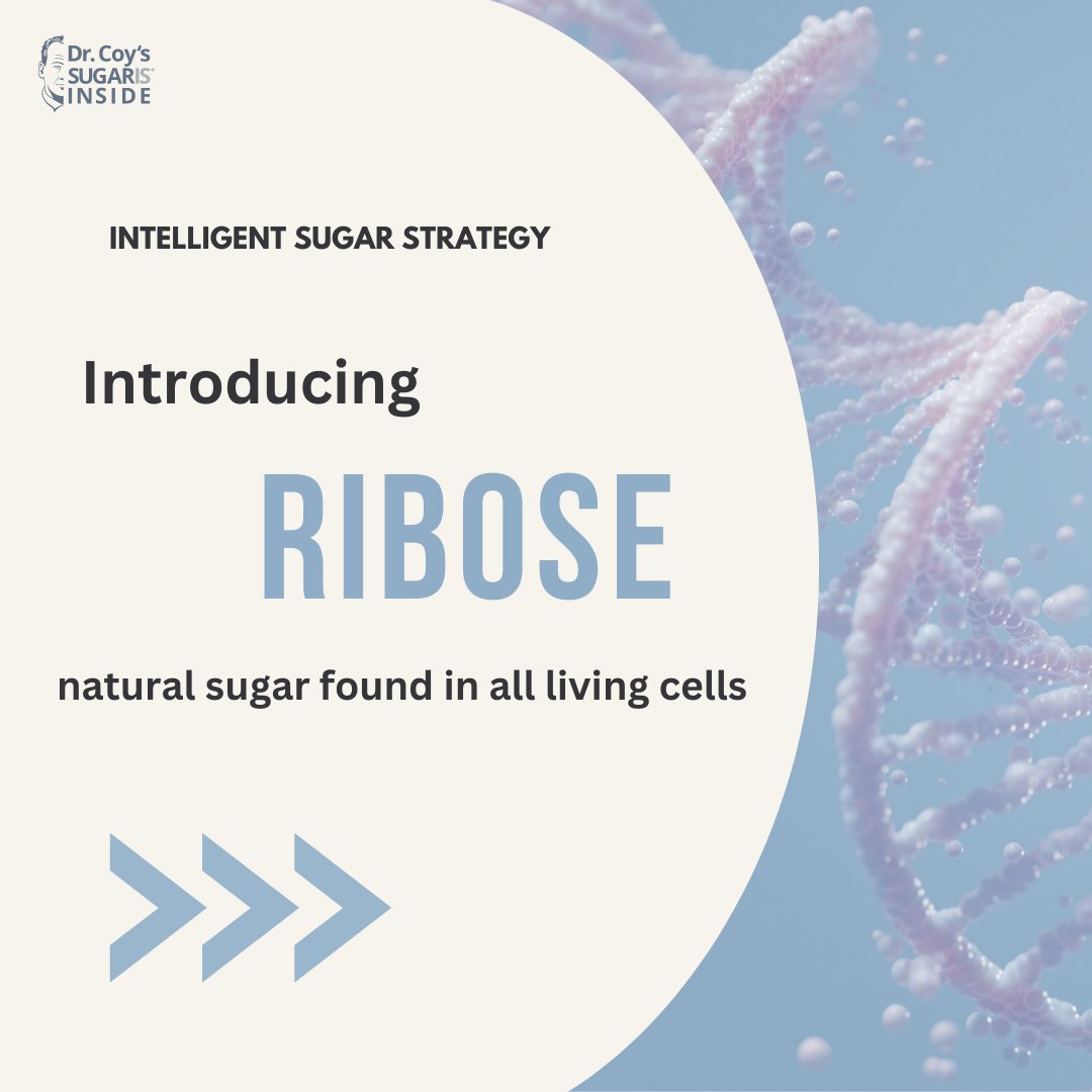 Intell_Sugar's tweet photo. Introducing the Benefits of #Ribose: Fuelling Cell Formation and Renewal 🌱
Ribose is a simple #sugar forming the building blocks of our #DNA? It’s an essential component of adenosine triphosphate (ATP)
 that stores &amp; transfers #energy in our cells. 🧬✨
https://t.co/G5AhrDuAB0 https://t.co/MsStDeK3BY