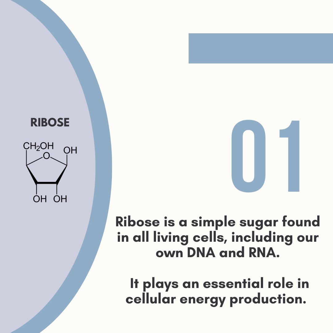 Intell_Sugar's tweet photo. Introducing the Benefits of #Ribose: Fuelling Cell Formation and Renewal 🌱
Ribose is a simple #sugar forming the building blocks of our #DNA? It’s an essential component of adenosine triphosphate (ATP)
 that stores &amp; transfers #energy in our cells. 🧬✨
https://t.co/G5AhrDuAB0 https://t.co/MsStDeK3BY