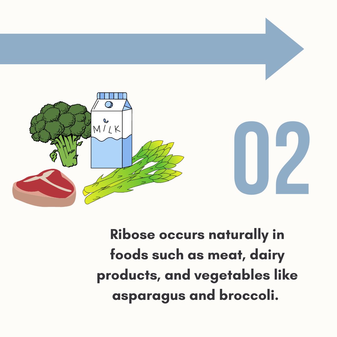 Intell_Sugar's tweet photo. Introducing the Benefits of #Ribose: Fuelling Cell Formation and Renewal 🌱
Ribose is a simple #sugar forming the building blocks of our #DNA? It’s an essential component of adenosine triphosphate (ATP)
 that stores &amp; transfers #energy in our cells. 🧬✨
https://t.co/G5AhrDuAB0 https://t.co/MsStDeK3BY
