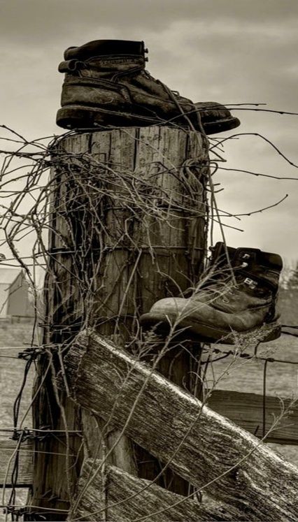 be_dancing's tweet image. “We're all stories, in the end.”
― Steven Moffat

#stories #quoteshare #life #storytelling