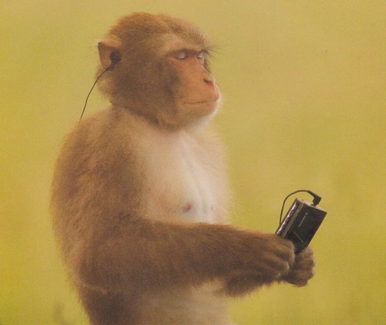 METAPHYSICS tweet media