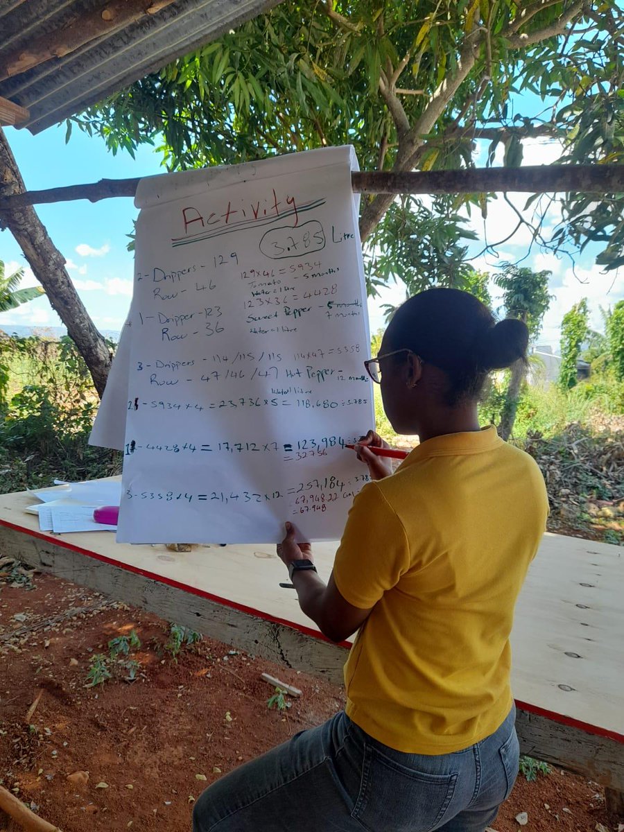 The #WaterEnergyNexus in #Agriculture sub-project #Jamaica conducted training with Mt. Airy Farmers on water conservation strategies. The training focused on estimating the amount of water needed over a specific time-period & techniques for better water management💧. @AMEXCID