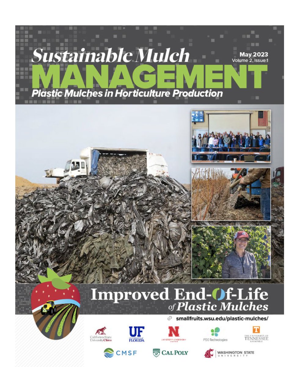 Check out our newest newsletter! Love the facelift! 👇smallfruits.wsu.edu/plastic-mulche…