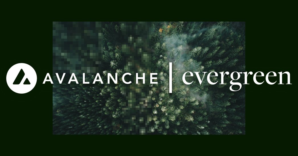 Reflexivity Research tweet media