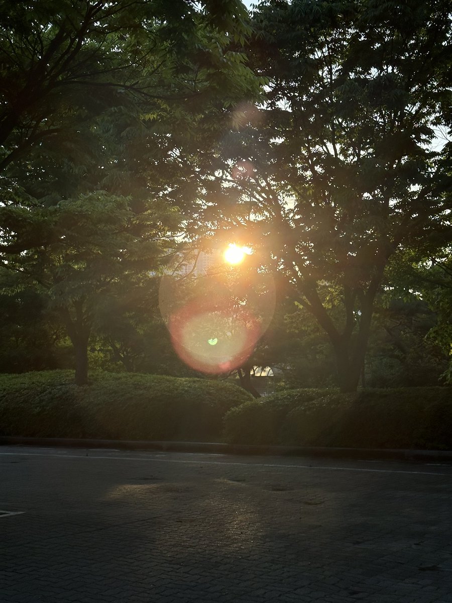 comesfullcircle's tweet photo. 5월 안녕 https://t.co/7CP2apd1fg