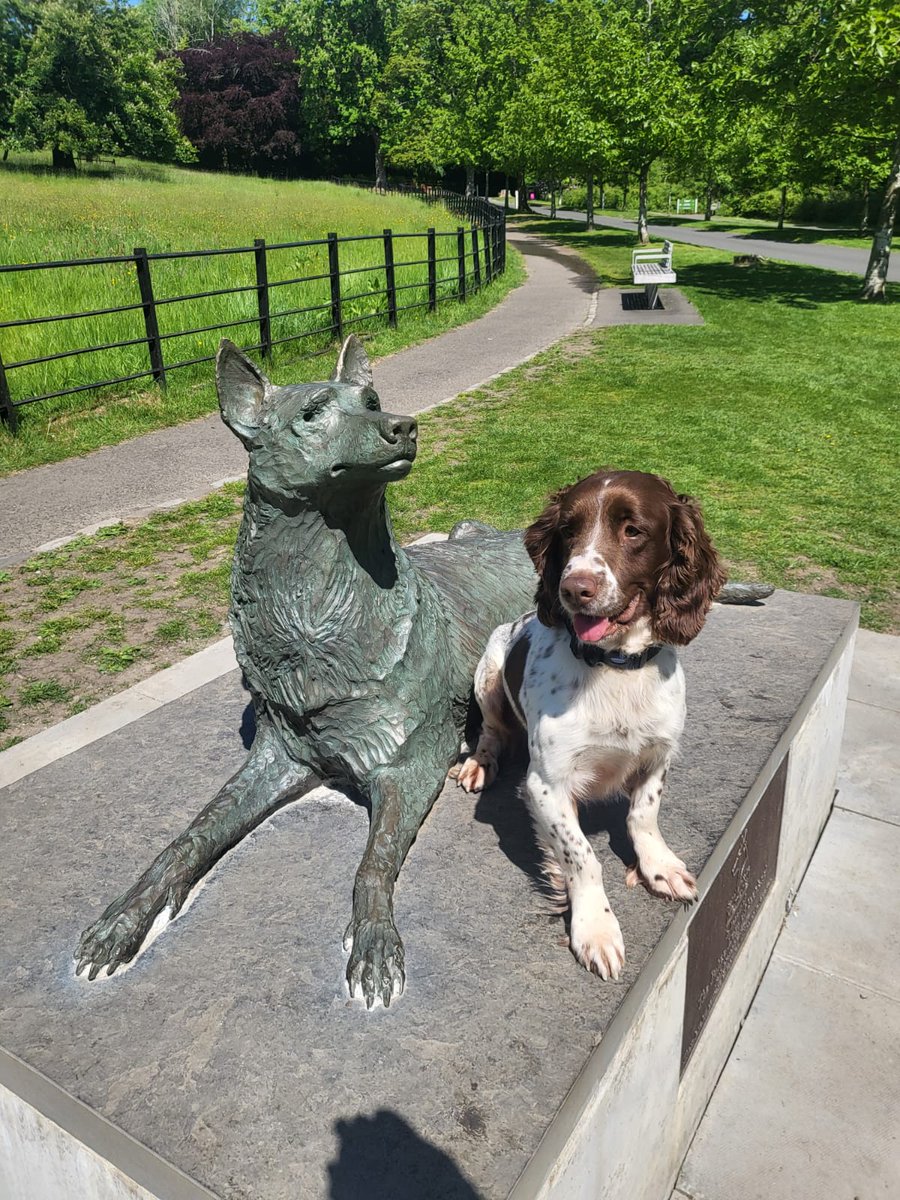 K9Scottish's tweet image. Currently a scorching 21c in Pollok Park today😎. #PDMac said the memorial has been well visited today and lots of people taking photographs which is lovely to hear. 
#PoliceDogMemorial
#PoliceDogsOfTwitter