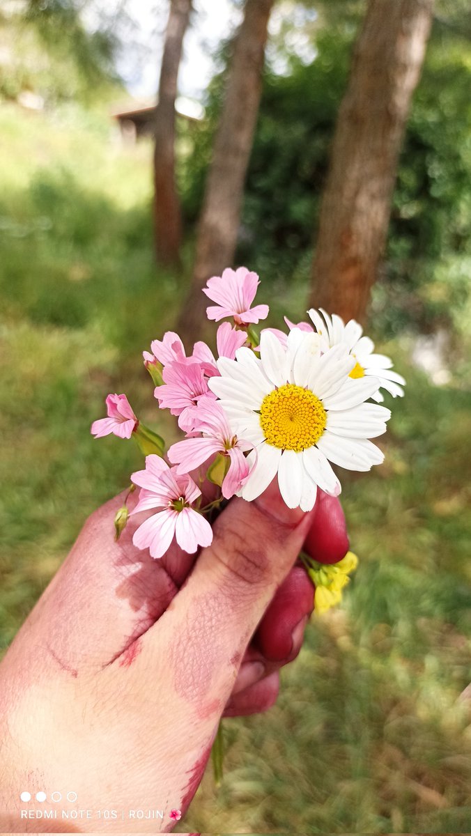 dincrojin21's tweet photo. İnsanlardan, birşey bekleme güzel şeyler Allah'tan gelir...🌼❤️‍🔥 https://t.co/iO826Ij63Q