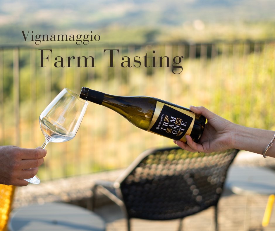 VIGNAMAGGIO FARM TASTING 🍷
Vieni ad assaggiare i #vini pregiati e i prodotti della fattoria #biologica con il nostro team🚜
IN PIAZZA: Dal lunedì al venerdì dalle 11:00 alle 12:30 e dalle 16:00 alle 17:30
ALLA PENSIONE: Il martedì &amp; il giovedì dalle 18.30 alle 19.30
