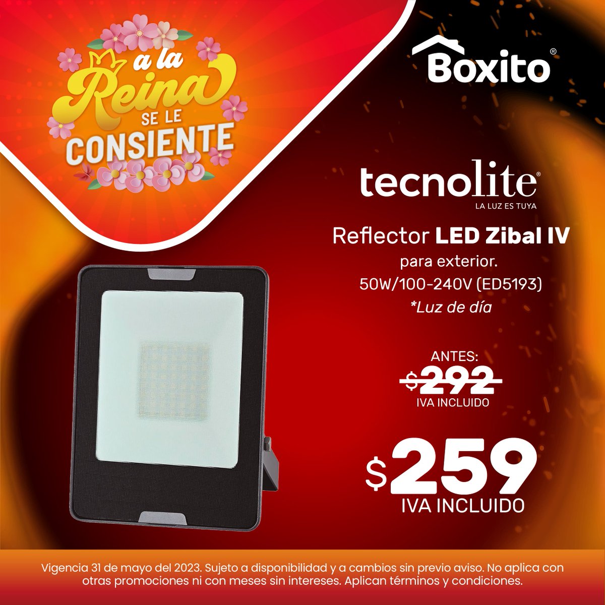 Grupo Boxito tweet media